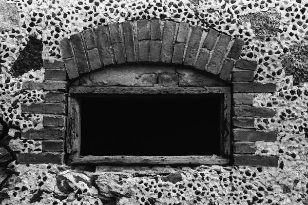 Ąžuolpamūšės dvaro kiaulidės fragmentas. Vido Dulkės nuotrauka, 9 dešimtmetis